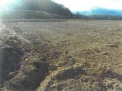 土地 長野県南佐久郡川上村大字原７４３番２