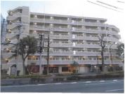 マンション 東京都府中市栄町三丁目２２番地１
