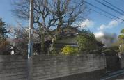 マンション 東京都三鷹市下連雀三丁目１９０番地３