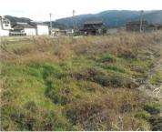 土地 徳島県吉野川市山川町湯立１３５番