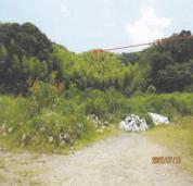土地 徳島県阿南市橘町袴傍示１４３番