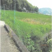 土地 徳島県阿南市新野町宇井谷４７６番