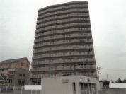 マンション 徳島県徳島市川内町鶴島　３７７番地１