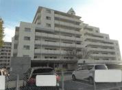 マンション 徳島県鳴門市撫養町木津字東小沖　７９８番地３