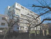 マンション 東京都