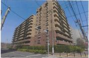 マンション 東京都江東区辰巳一丁目３番地２