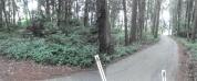 土地 栃木県鹿沼市御成橋町二丁目字上上野２０６０