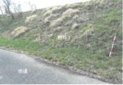 土地 栃木県鹿沼市北半田字向原１２５番１
