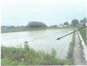 土地 栃木県栃木市藤岡町部屋字高畑２０３９番