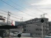 マンション 神奈川県大和市下鶴間字甲三号５２７番地、５２８番地１