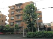 マンション 神奈川県