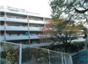 マンション 神奈川県