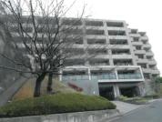 マンション 神奈川県横浜市鶴見区上末吉一丁目４３５番地１、９２１番地、４３５番地７