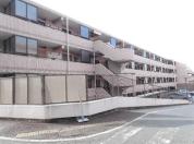 マンション 神奈川県横浜市金沢区西柴二丁目１番地１８０