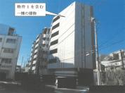 マンション 神奈川県横浜市神奈川区七島町１１４番地