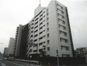 マンション 神奈川県藤沢市鵠沼東４番地１２、４番地１１