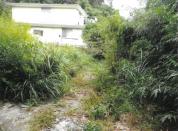 土地 神奈川県三浦郡葉山町堀内字戸根山２１４４番