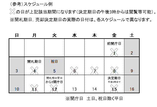 （参考）スケジュール例